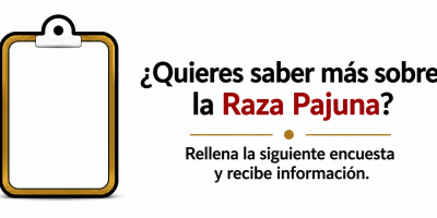 webrazapajuna webrazapajuna